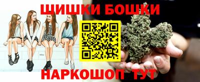 стафф Краснознаменск