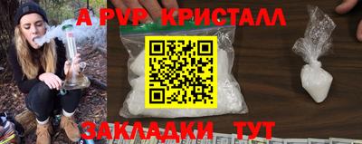 стафф Краснознаменск