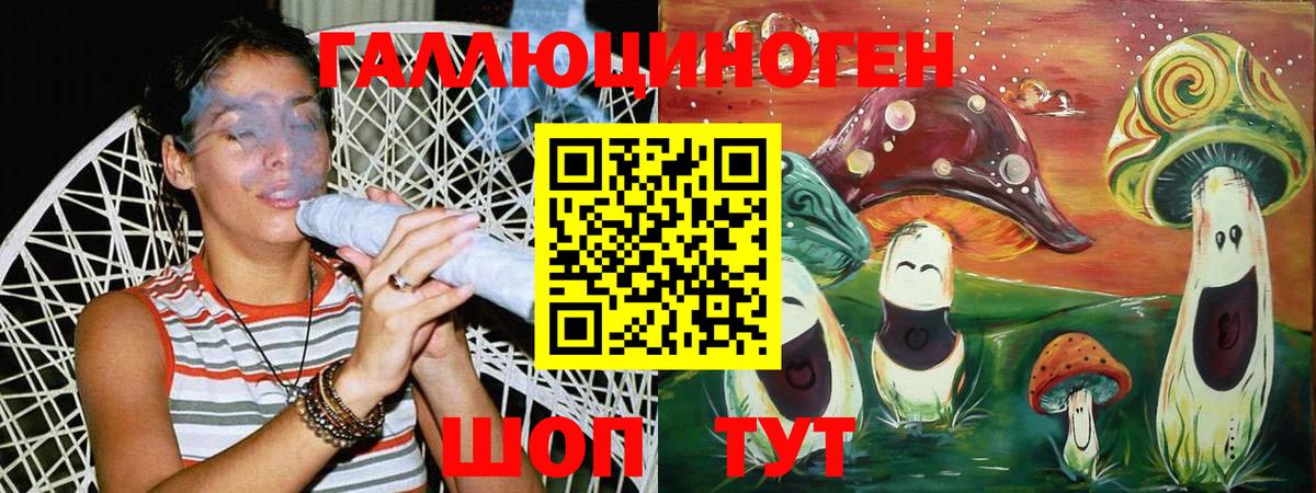 Елабуга  Псилоцибиновые грибы прущие грибы  Вход с VPN 