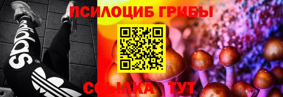 Галлюциногенные грибы мицелий Елабуга